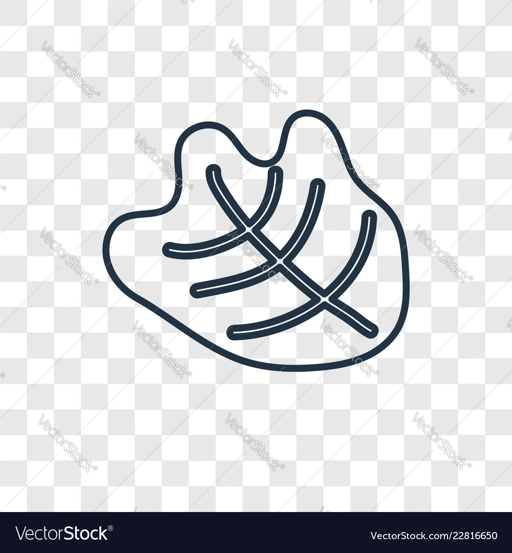 Fossil concept linear icon isolated