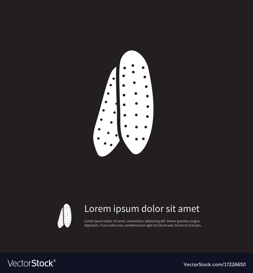 Isolated pickles icon cucumber element ca