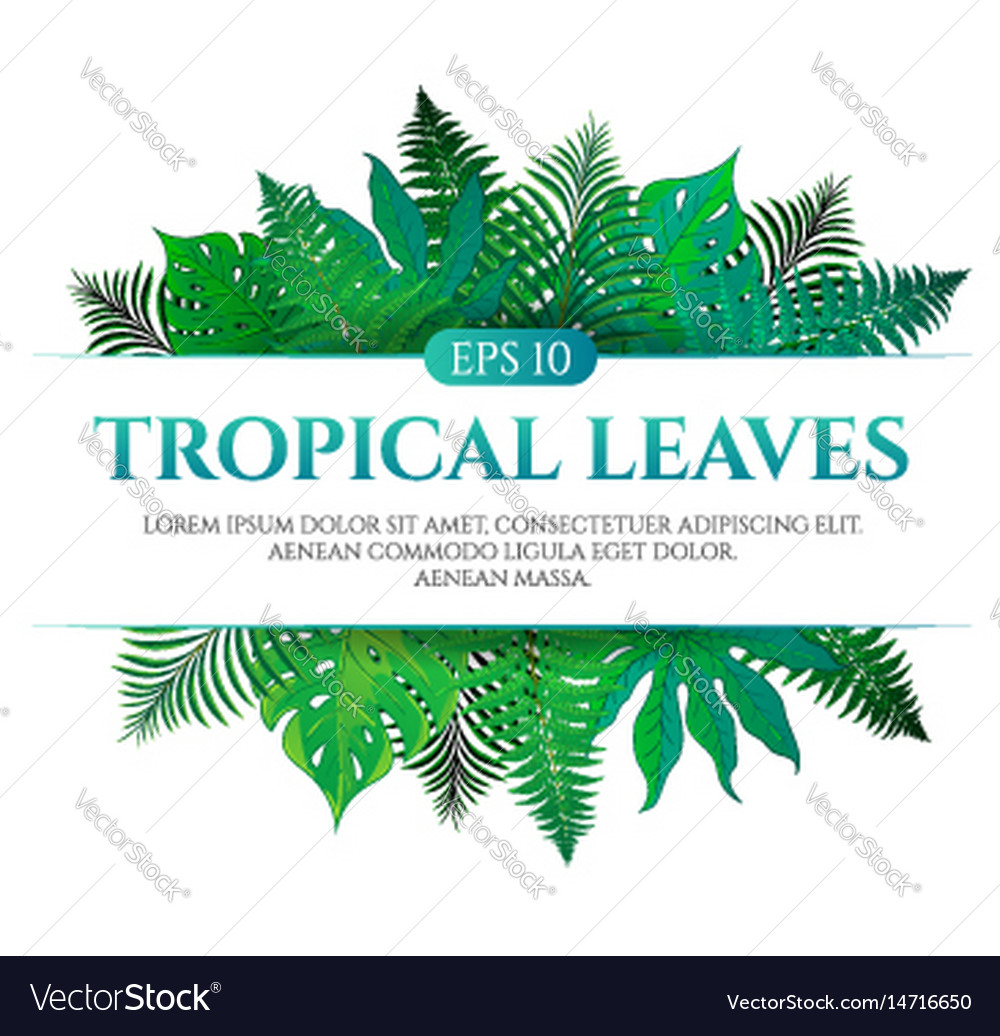 Tropical leaves frame design with place for text Vector Image