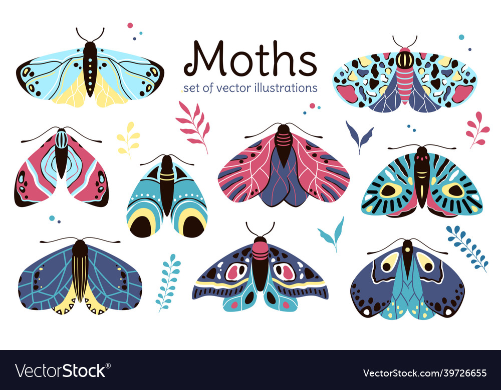 Cute Moth Set - Pastel Colors