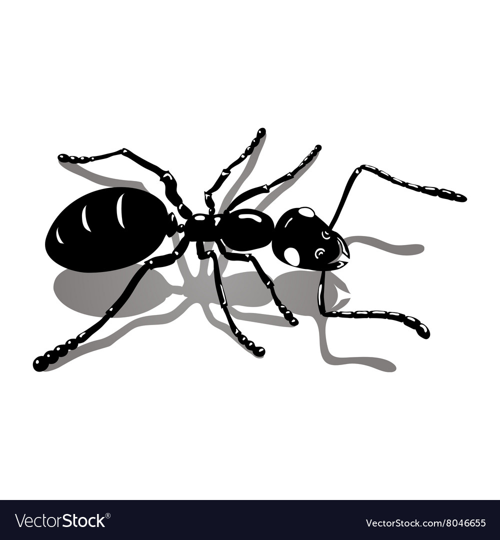 Isolated Ant Icon