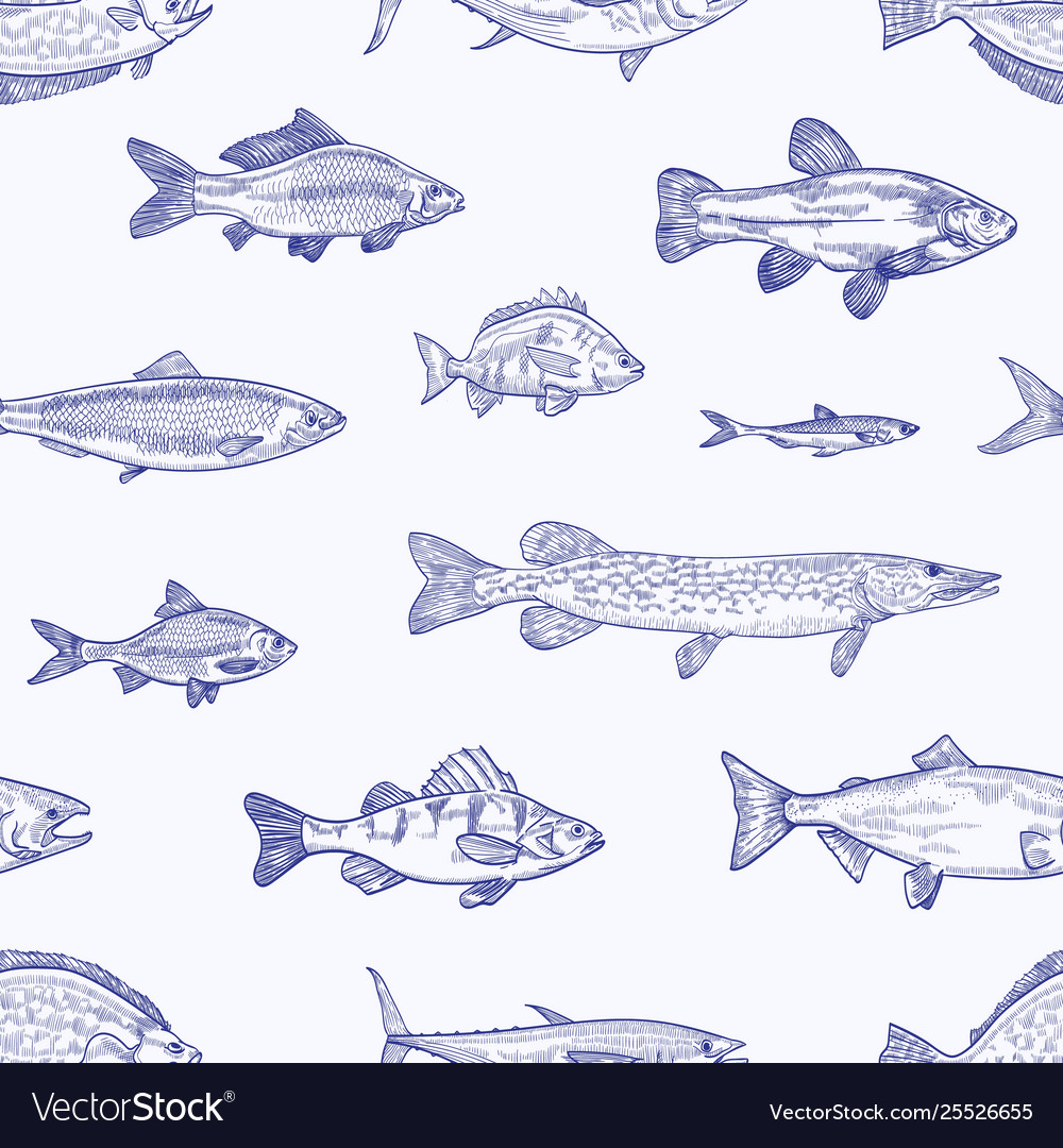 Seamless Fish Pattern - Aquatic Creatures