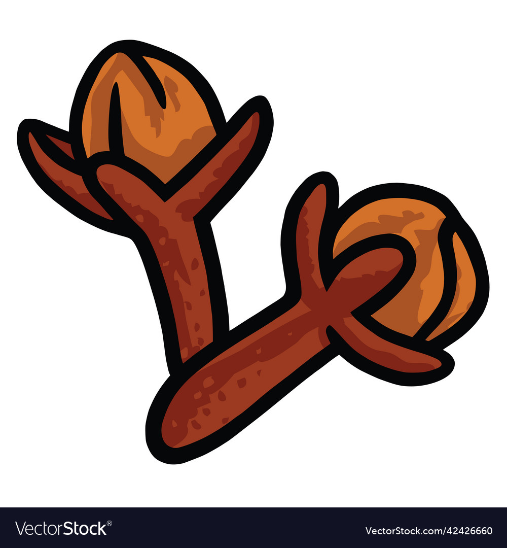 Cloves dried clove hand drawn drawing icon Vector Image