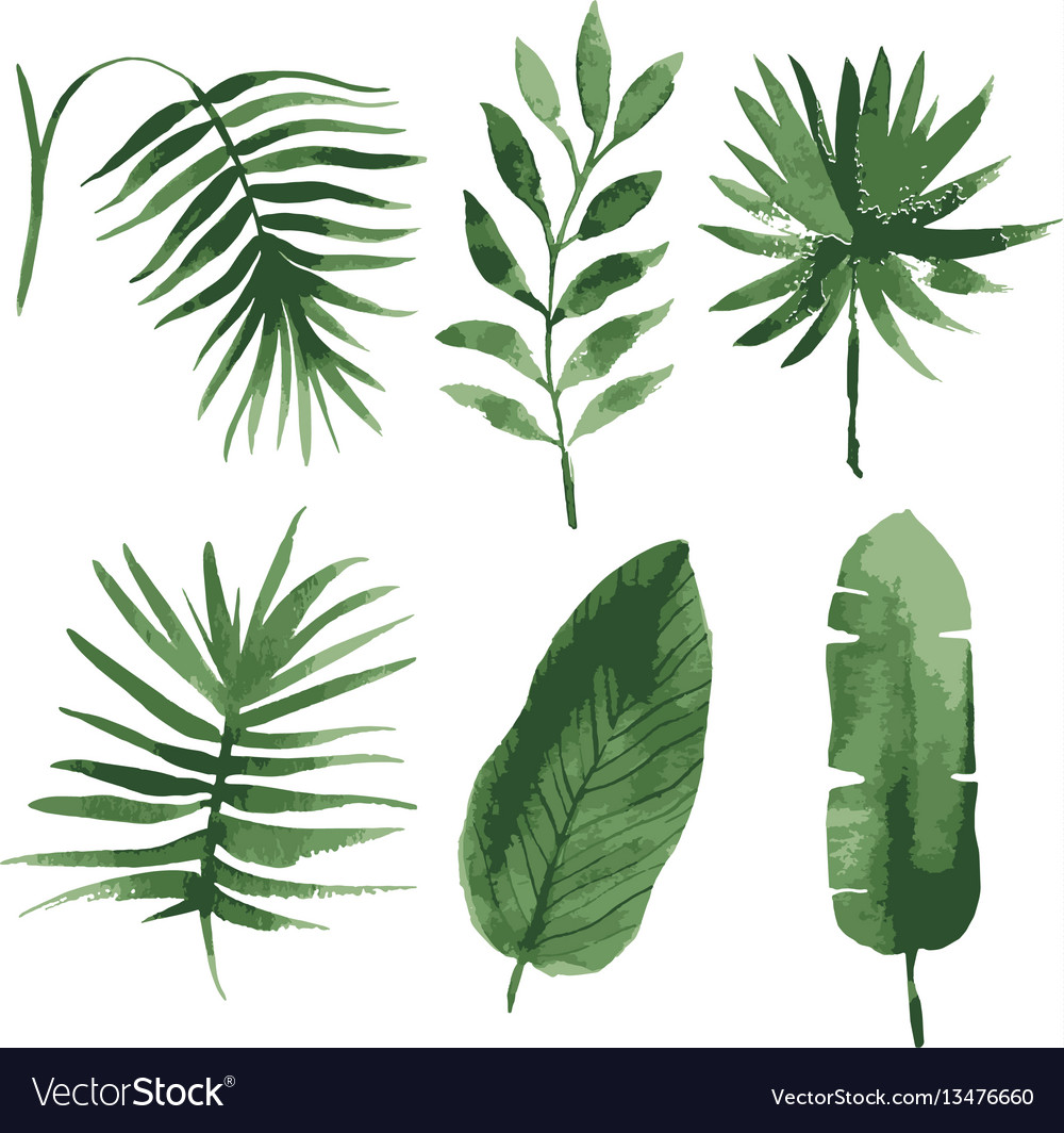 Download Watercolor tropical leaves Royalty Free Vector Image