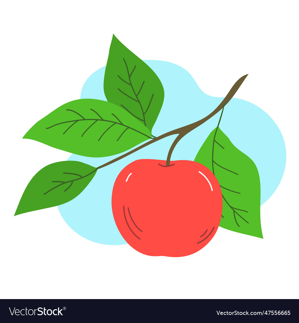 Appetizing red apple on a tree branchranch Vector Image Appetizing red apple on a tree branchranch