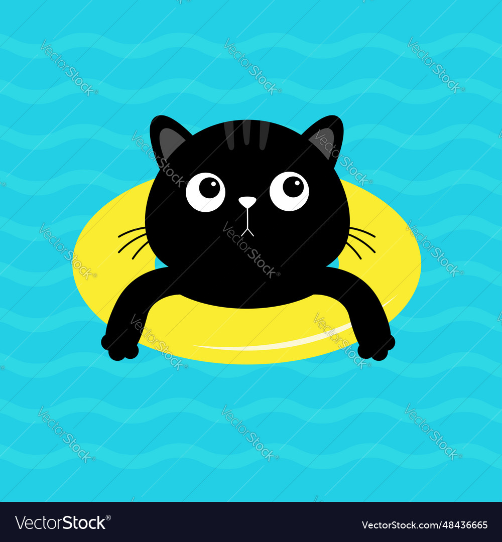 Black cat kitten floating on yellow pool float