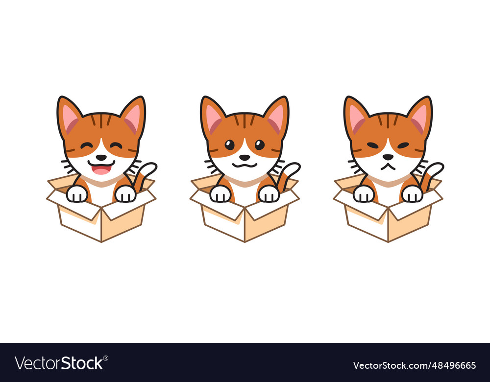Cartoon set of tabby cat showing Royalty Free Vector Image