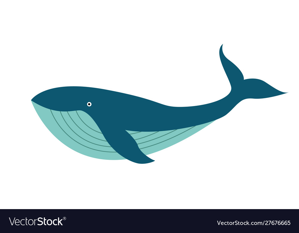 Cute cartoon whale