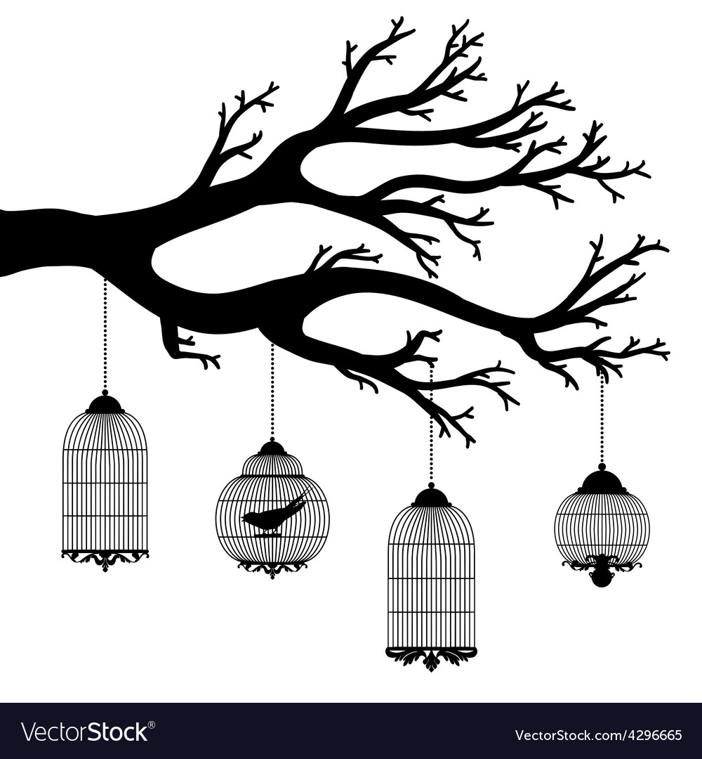 Drawing of the tree with cages