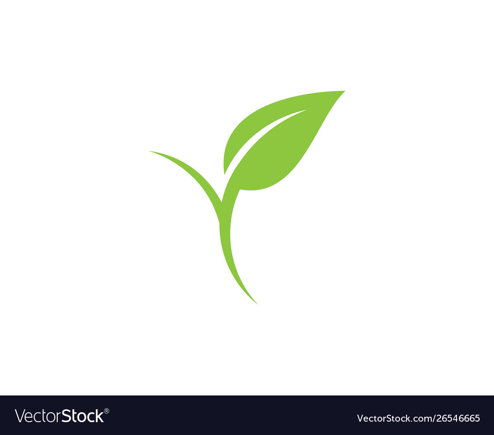 Green leaf ecology nature element Royalty Free Vector Image