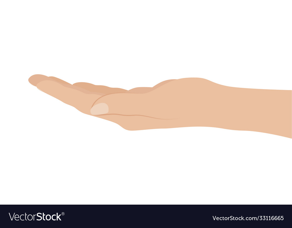 Woman hand on white background Royalty Free Vector Image