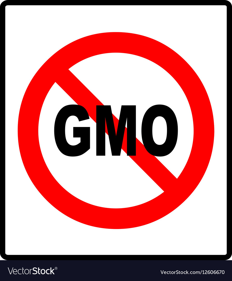 No gmo sign icon without genetically modified Vector Image