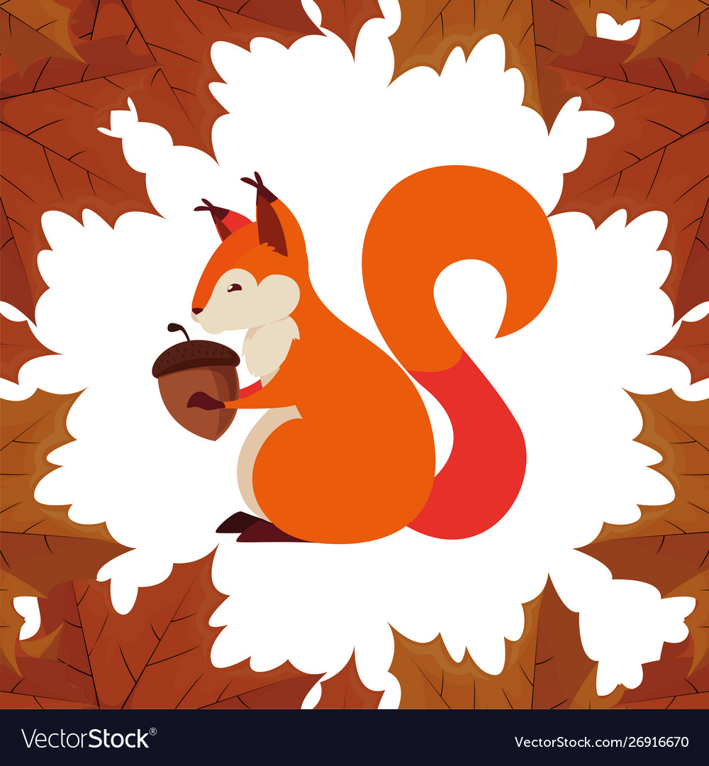 Squirrel acorn happy autumn season flat design