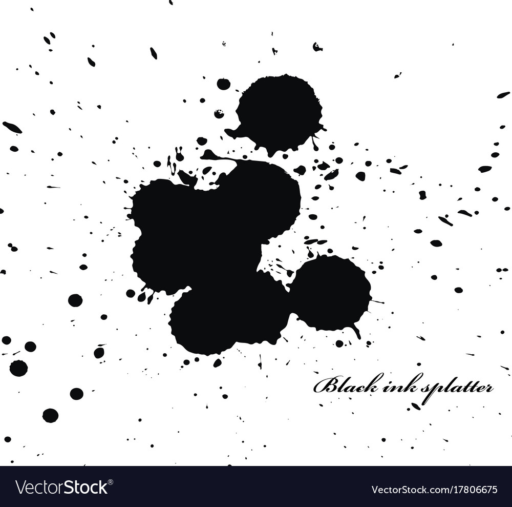 Black ink splatter on white Royalty Free Vector Image