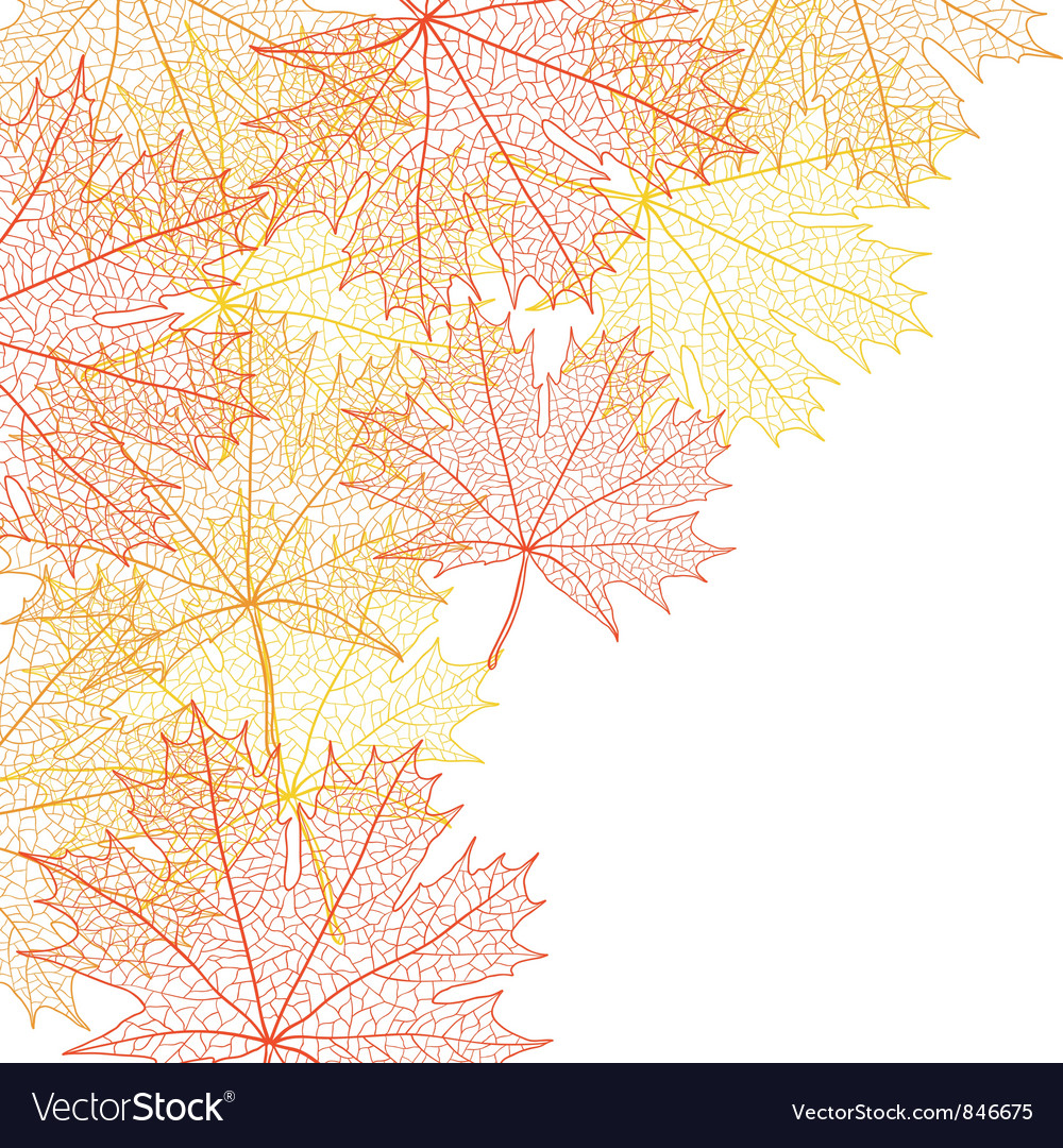 Maple Leaf Macro Background