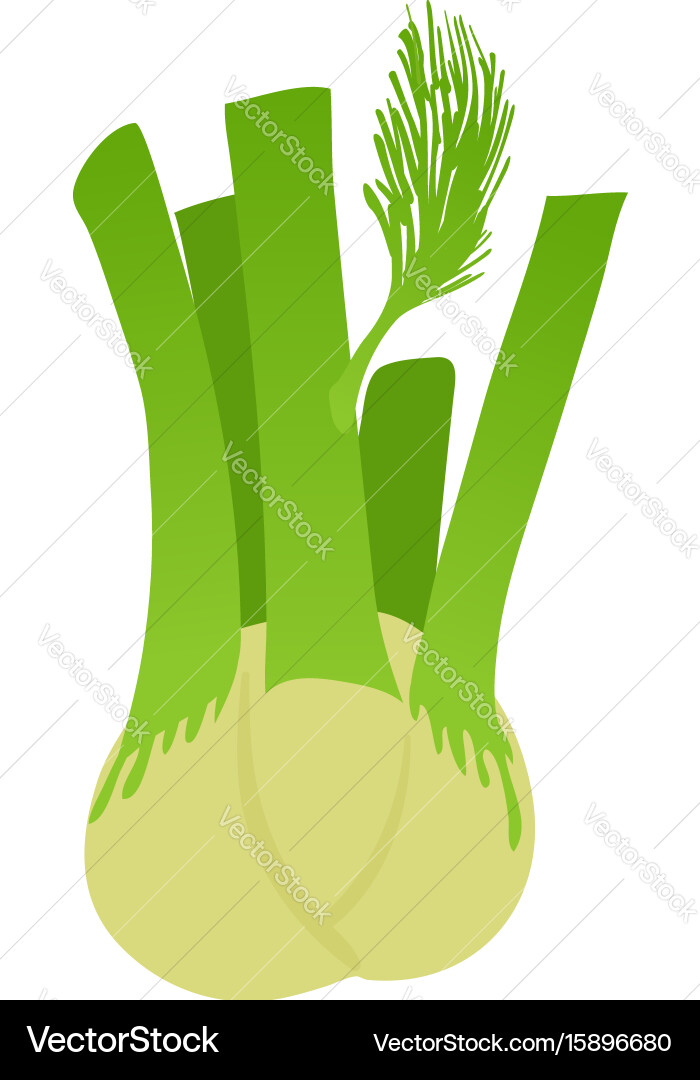Fennel icon cartoon style Royalty Free Vector Image