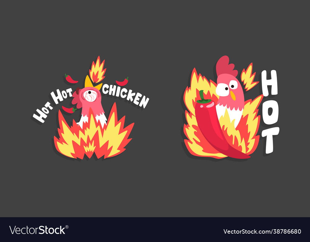 Hot spicy chicken with fire and chilli pepper Vector Image