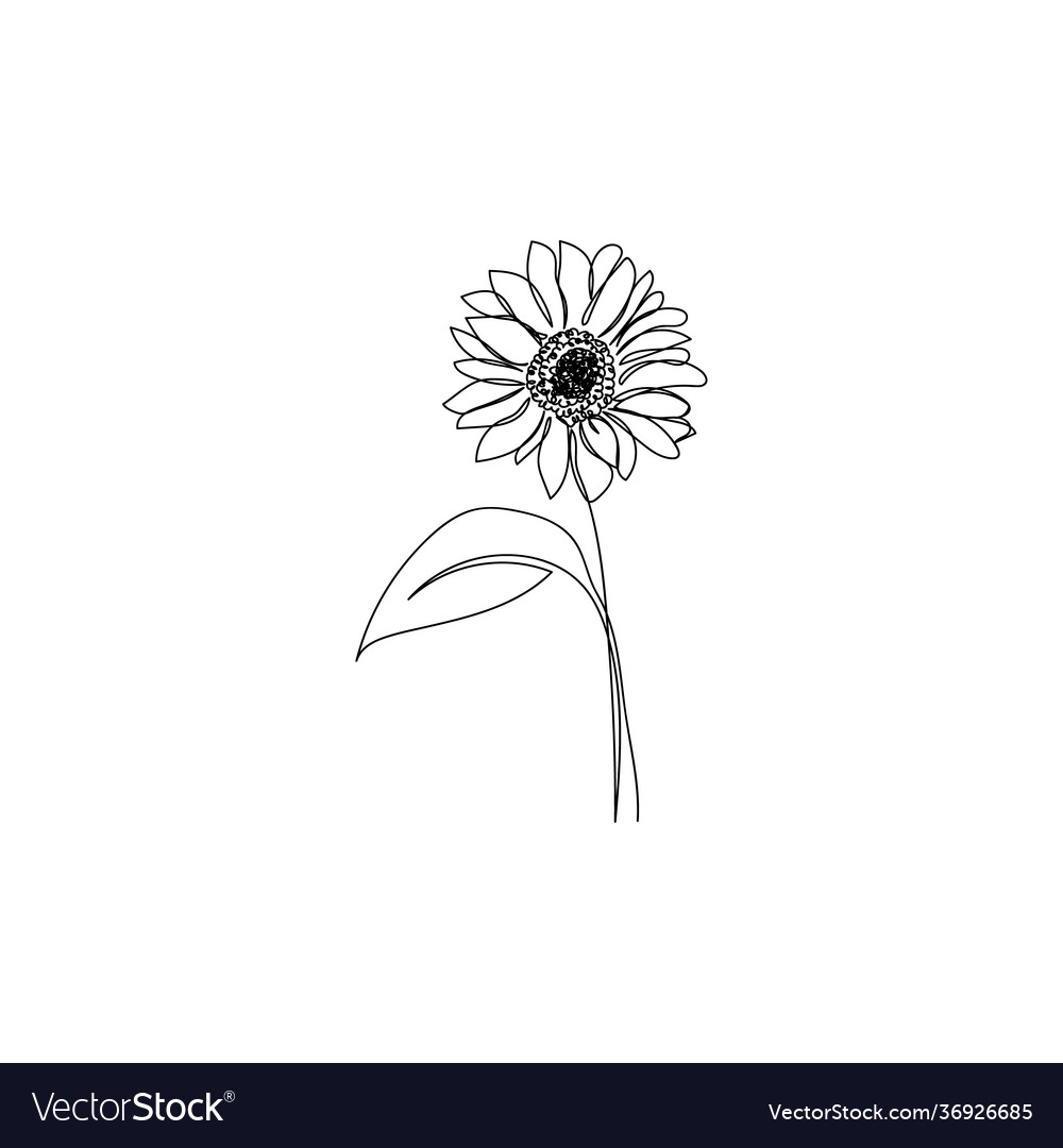 Continuous one line drawing sunflower Royalty Free Vector