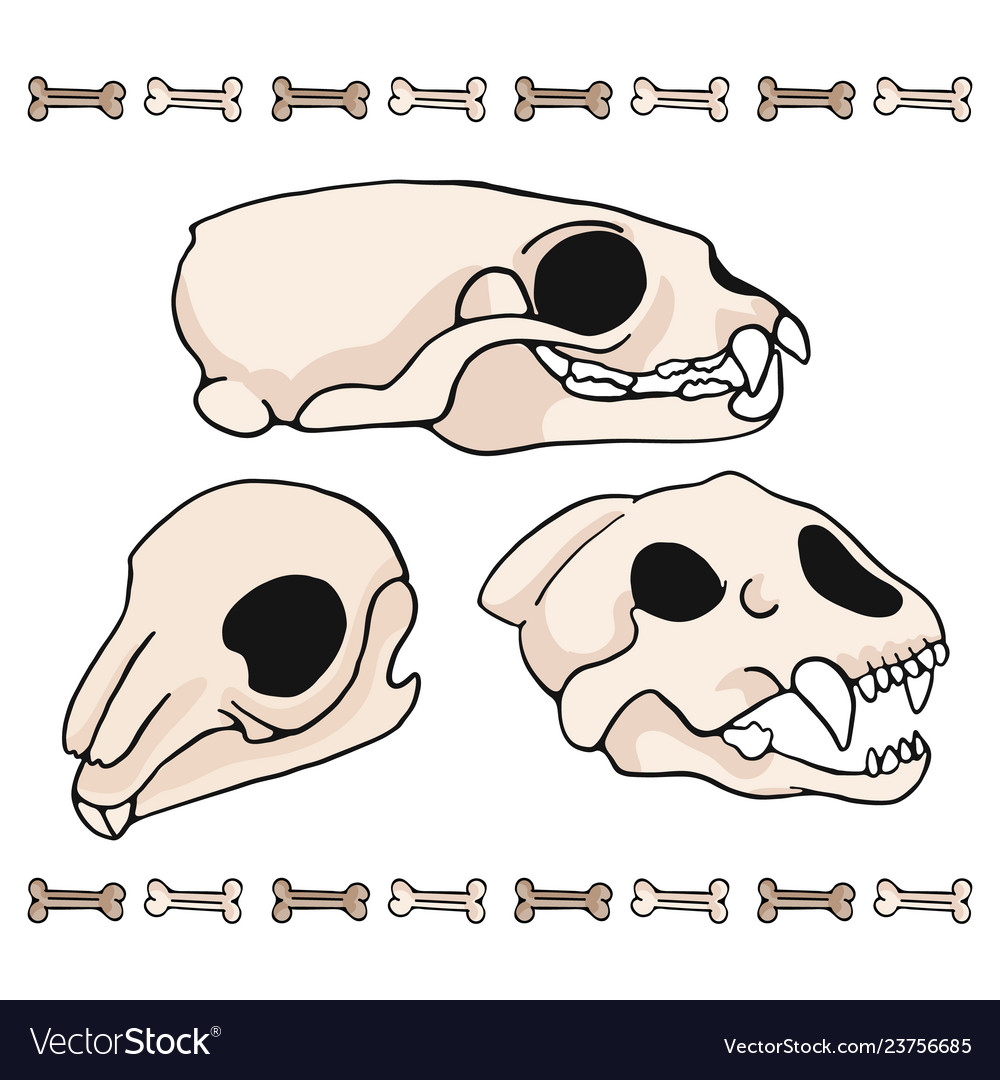 Mammal skull cartoon motif set