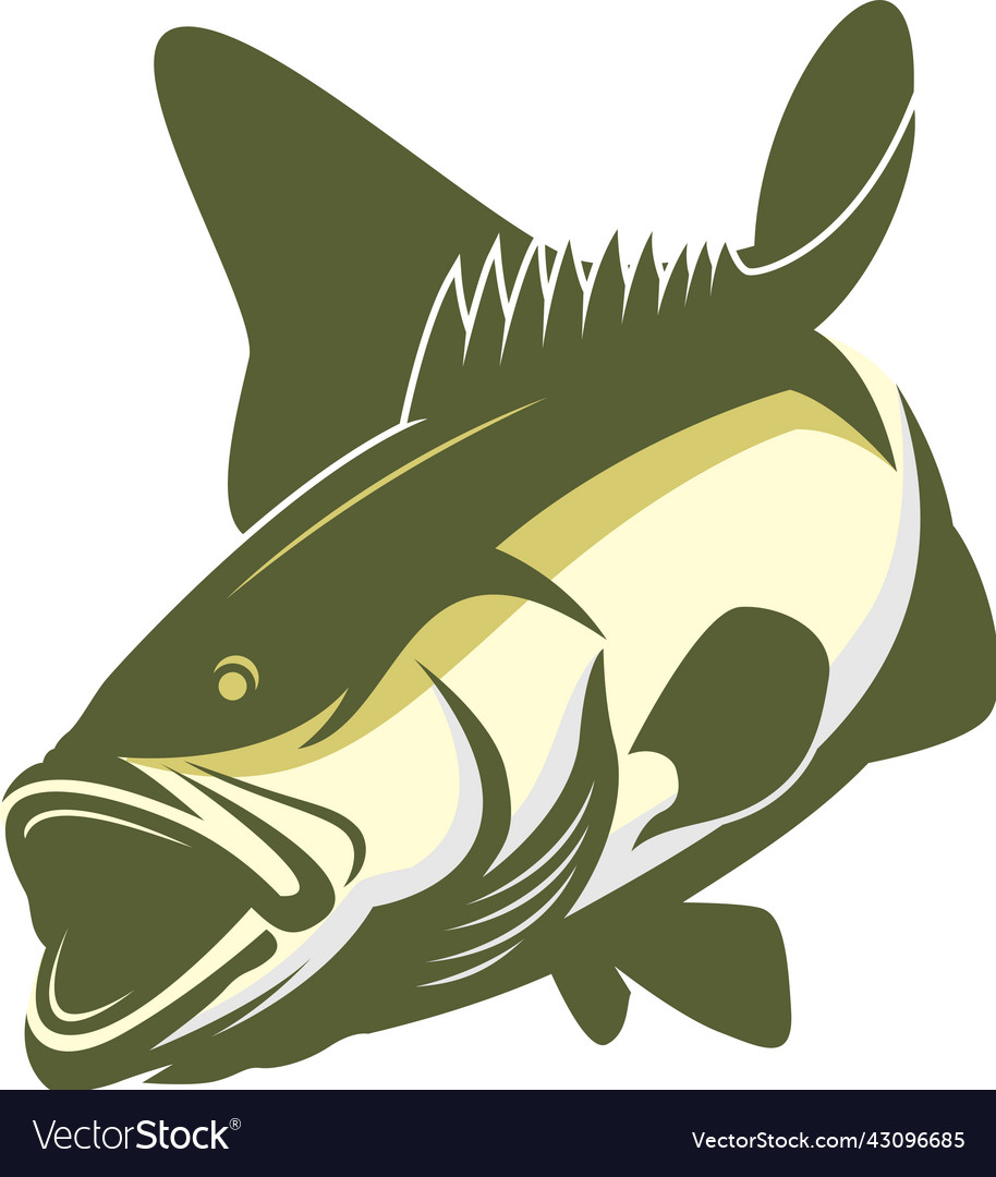 Murray cod fish fishing Royalty Free Vector Image