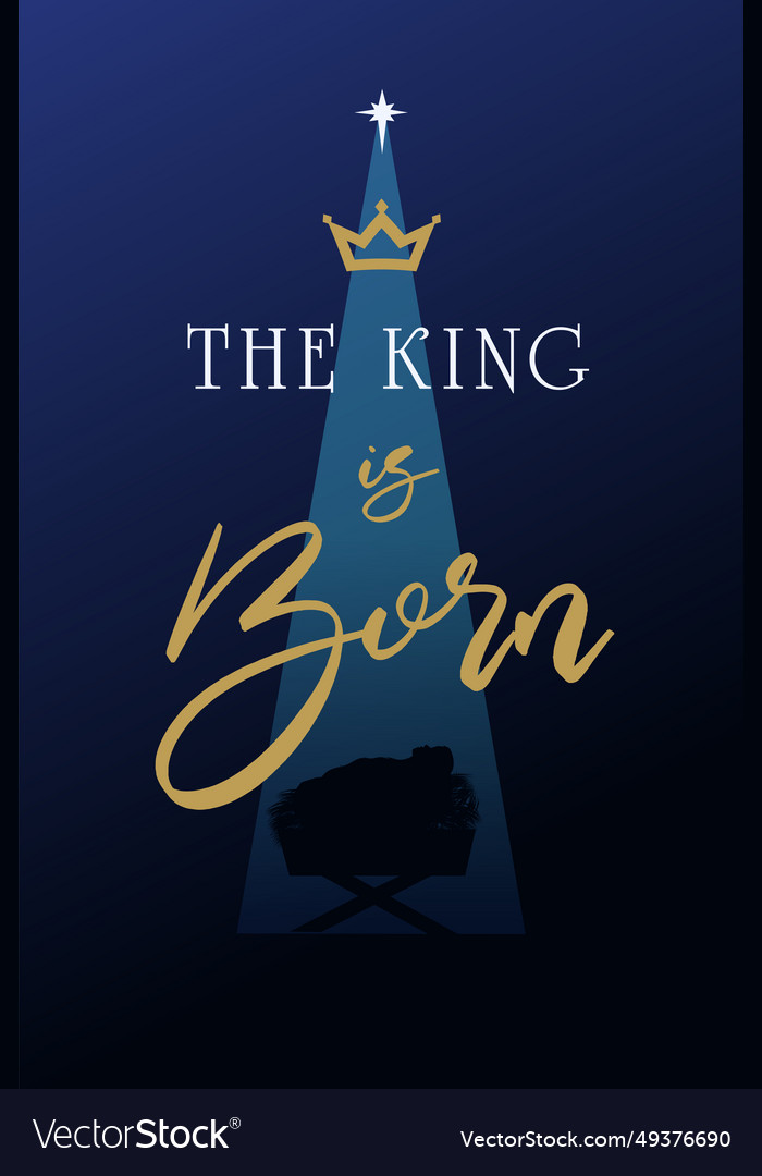 King is born celebrate christmas handwritten Vector Image