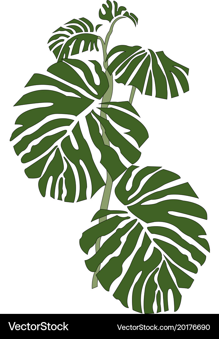 Leaves Royalty Free Vector Image - VectorStock