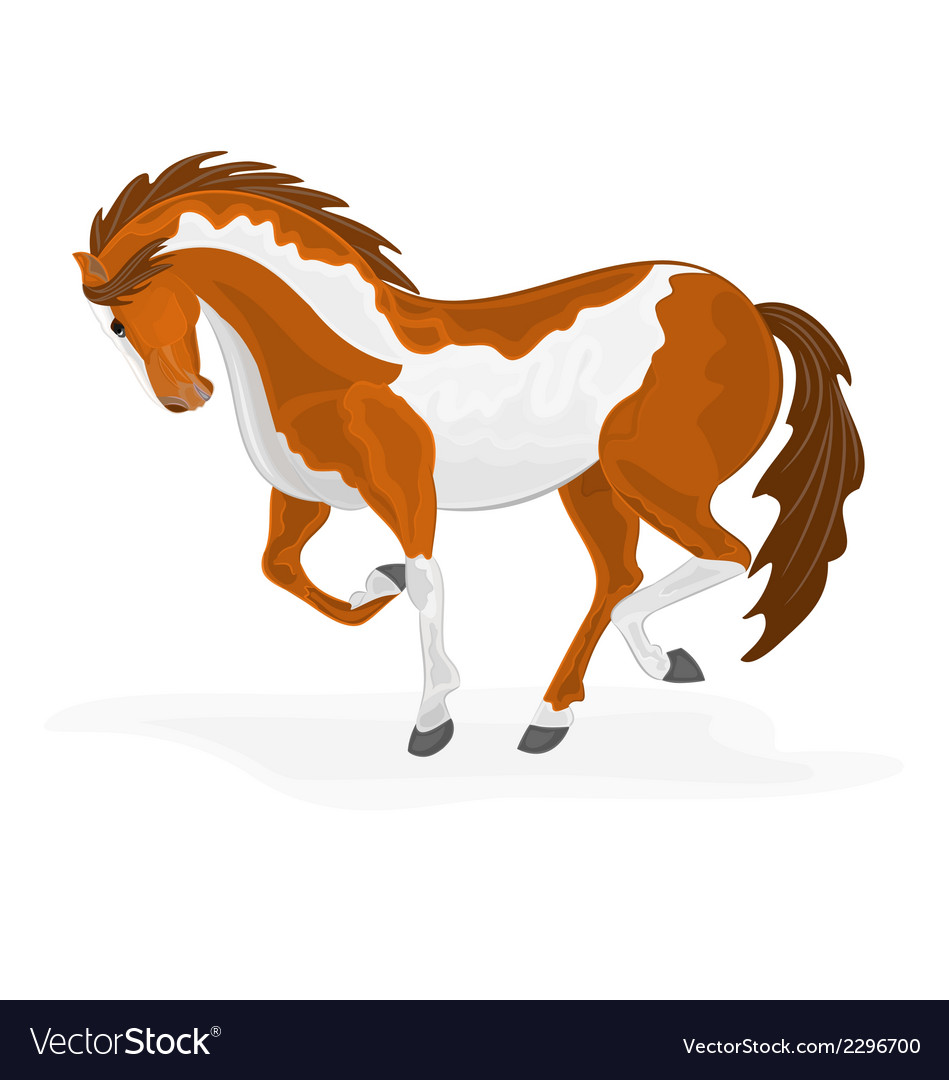 Elegant Piebald Horse