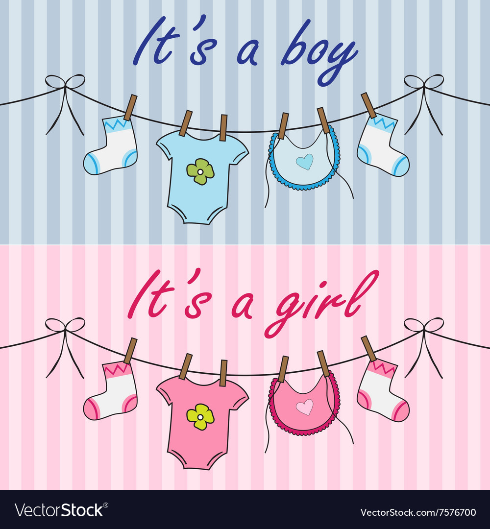 it is a boy and it is a girl announcement vector image