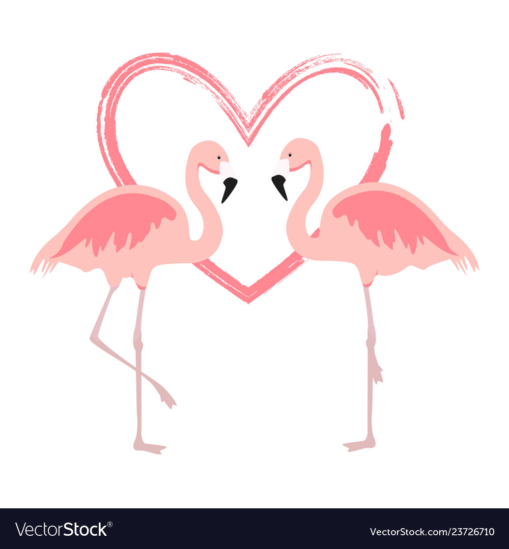 Flamingos Username And Password