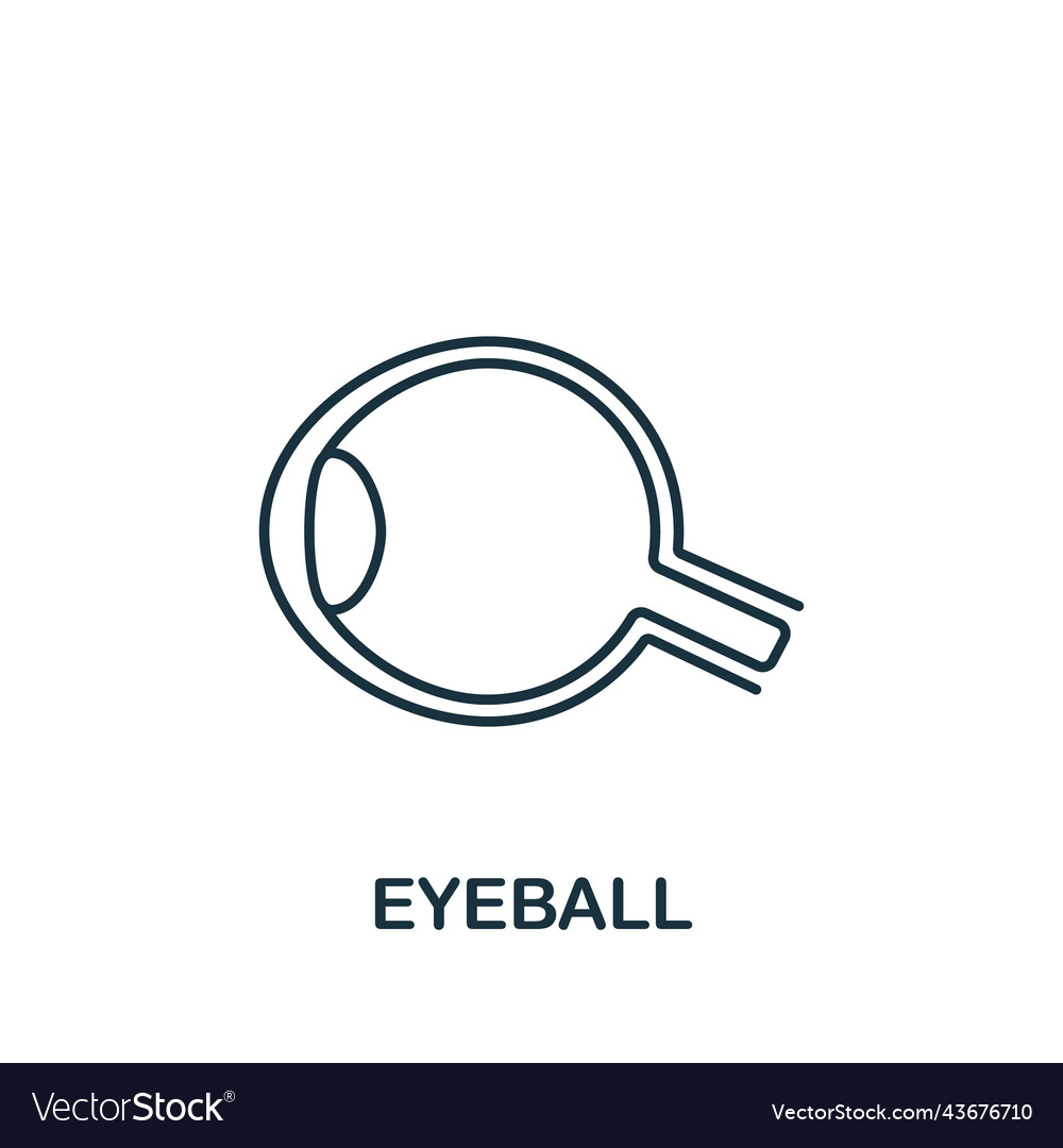 Eyeball icon line simple for templates web
