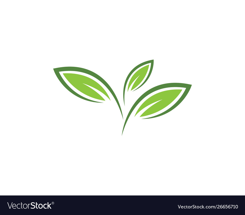 Green leaf ecology nature element Royalty Free Vector Image