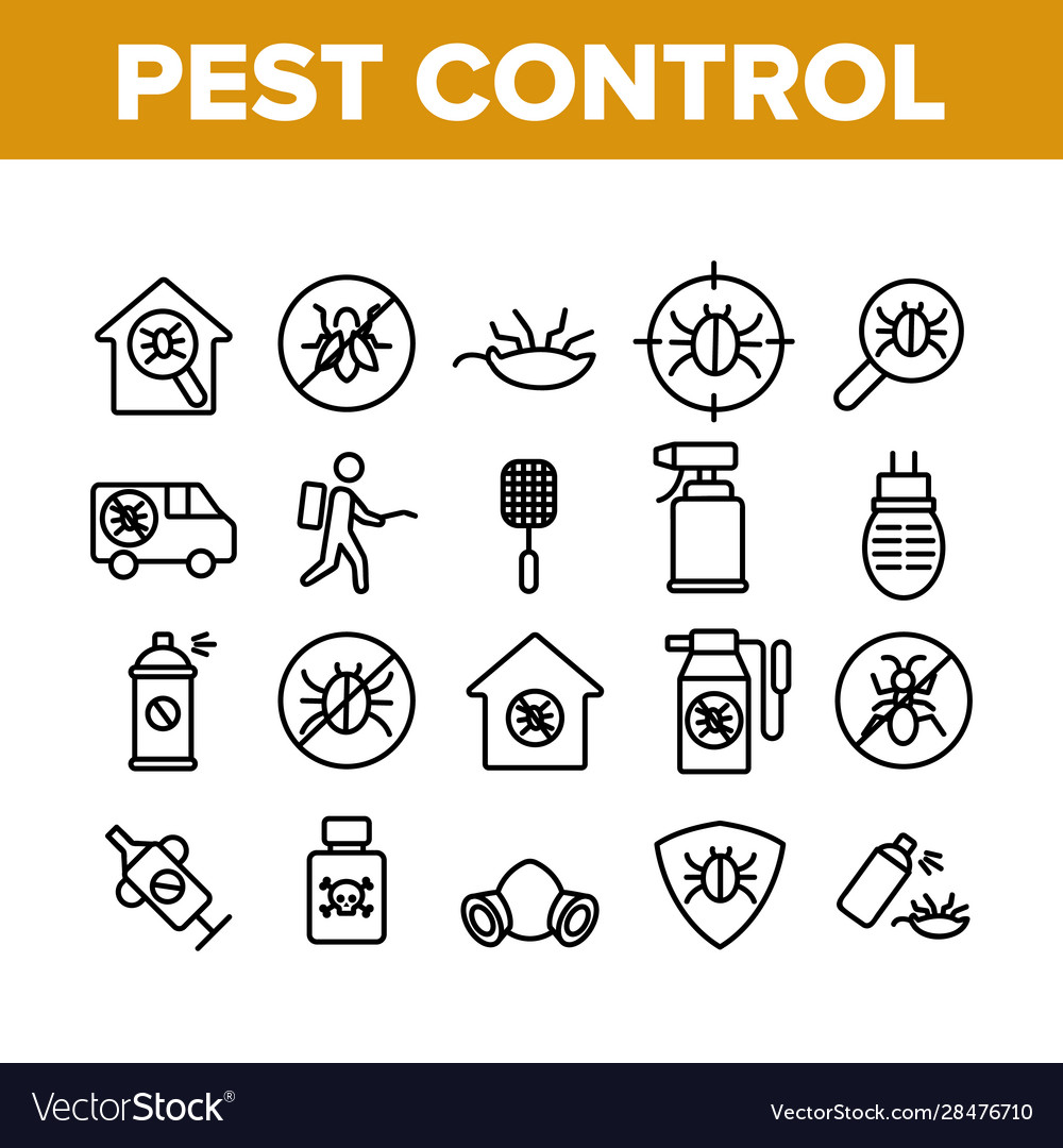 Pest Control Near Me