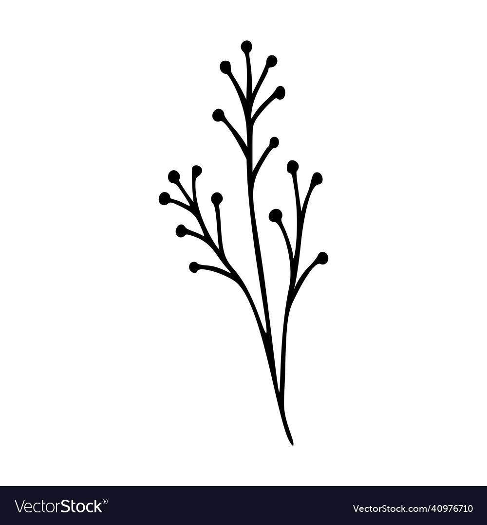 Wildflower outline hand drawn element herbs