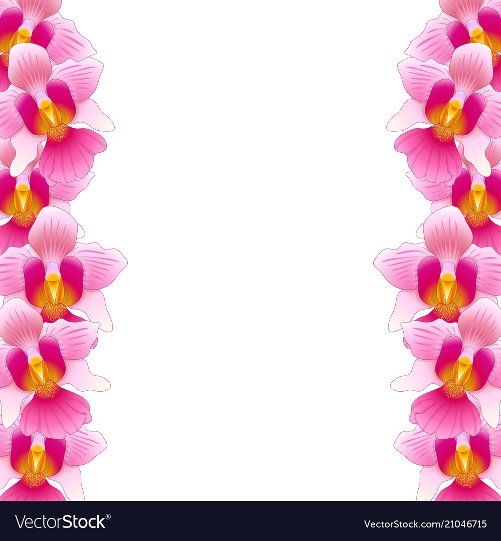 orchids flower border design