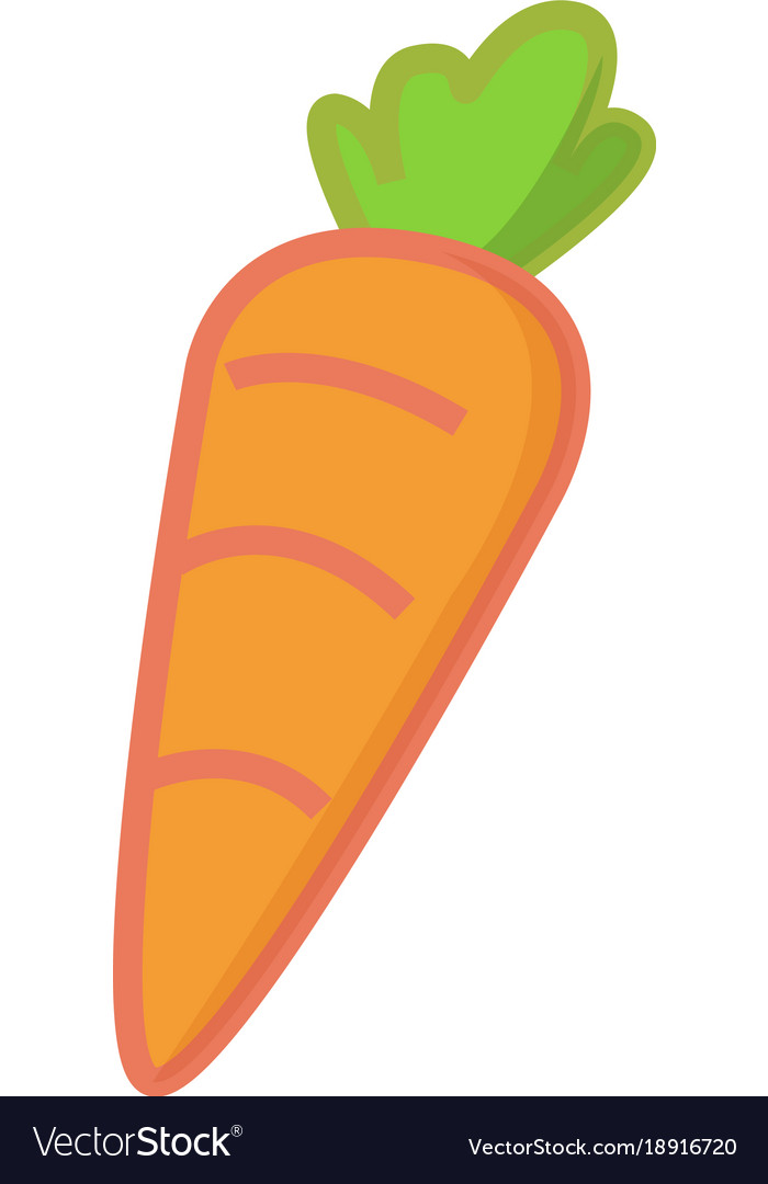 Carrot Cartoon