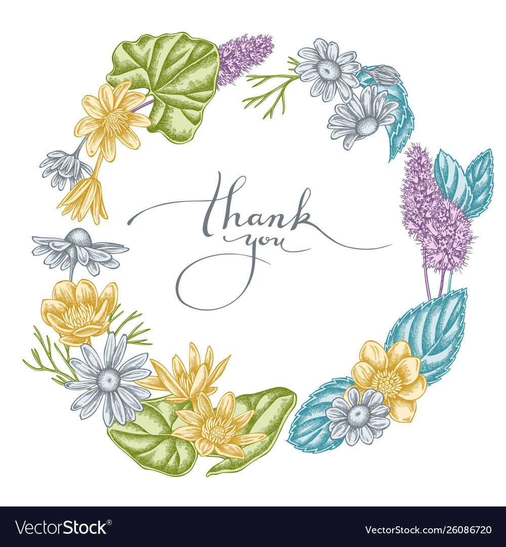 Blumenkranz pastel celandine chamomil vector image Blumenkranz pastel celandine chamomil