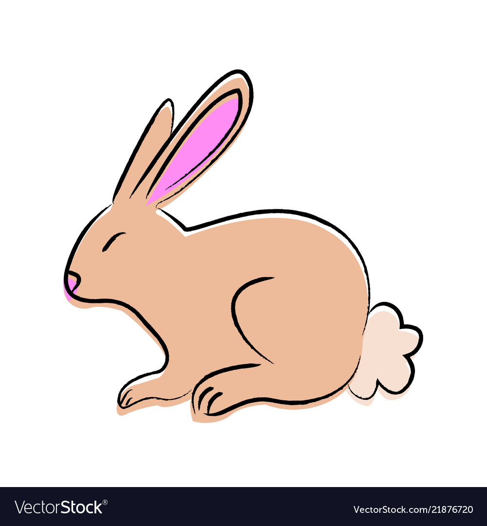 Outline draw rabbit