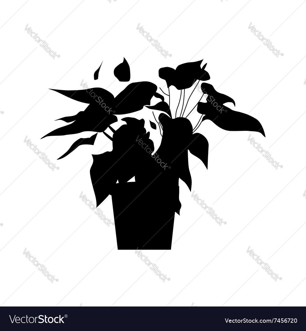 Download Potted plants silhouette Royalty Free Vector Image