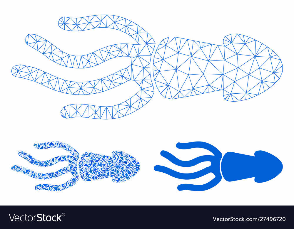 Squid mesh network model and triangle vector image Squid mesh network model and triangle