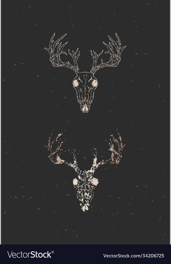 With two variants hand drawn deer skull