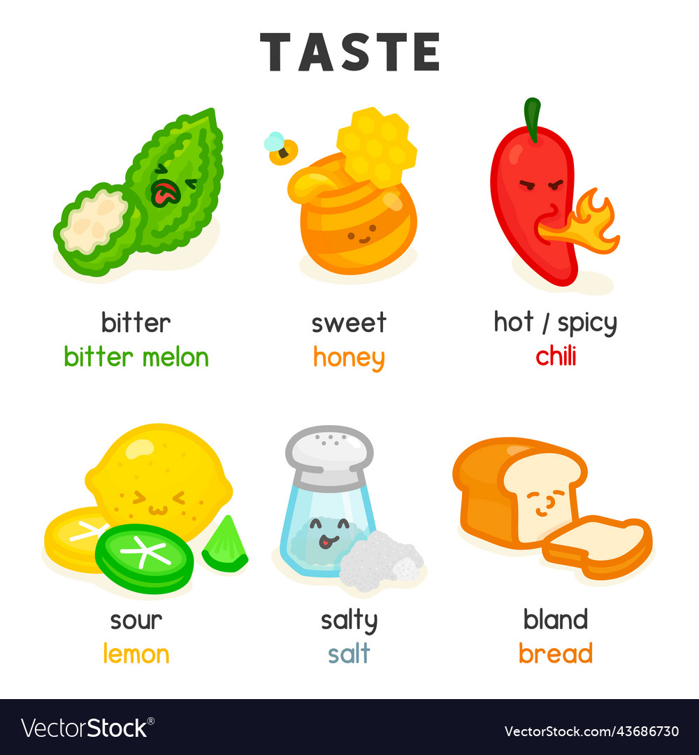 Food And Taste Diagram Chart In Science Subject Vector Image