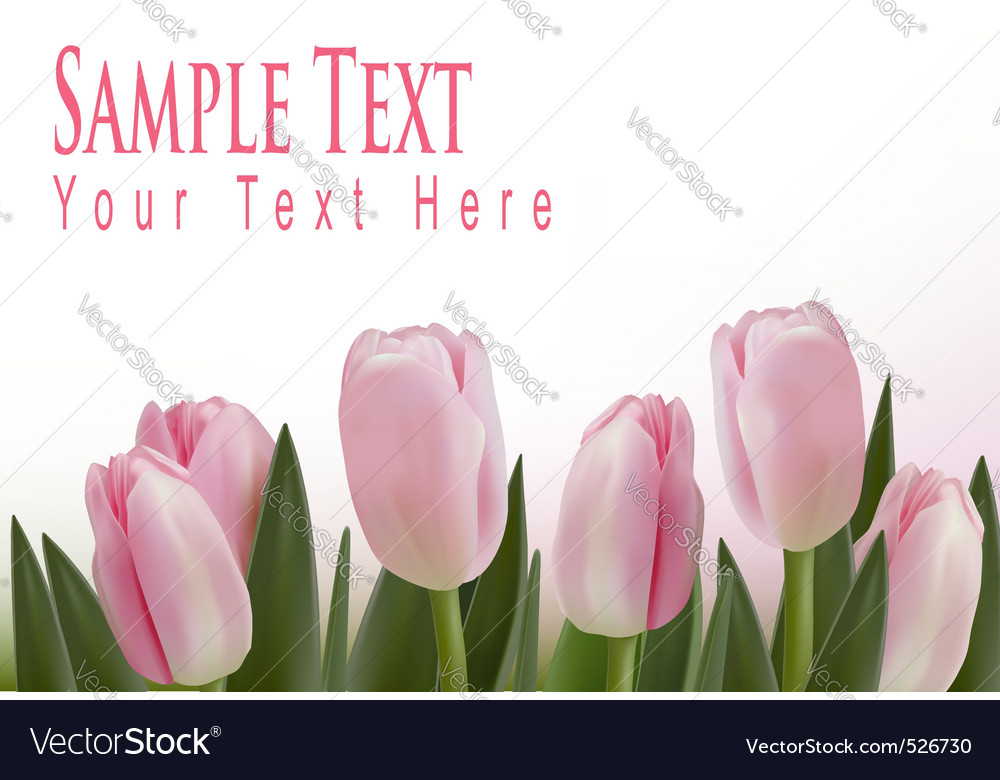 Pink tulips background Royalty Free Vector Image