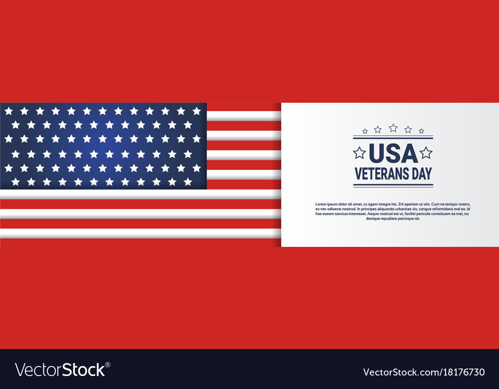 Usa veterans day horizontal banner with united Vector Image