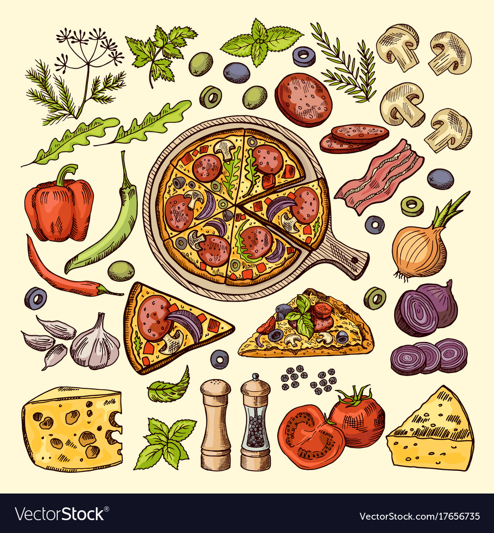 Slices of pizza with cheeses olives and other Vector Image