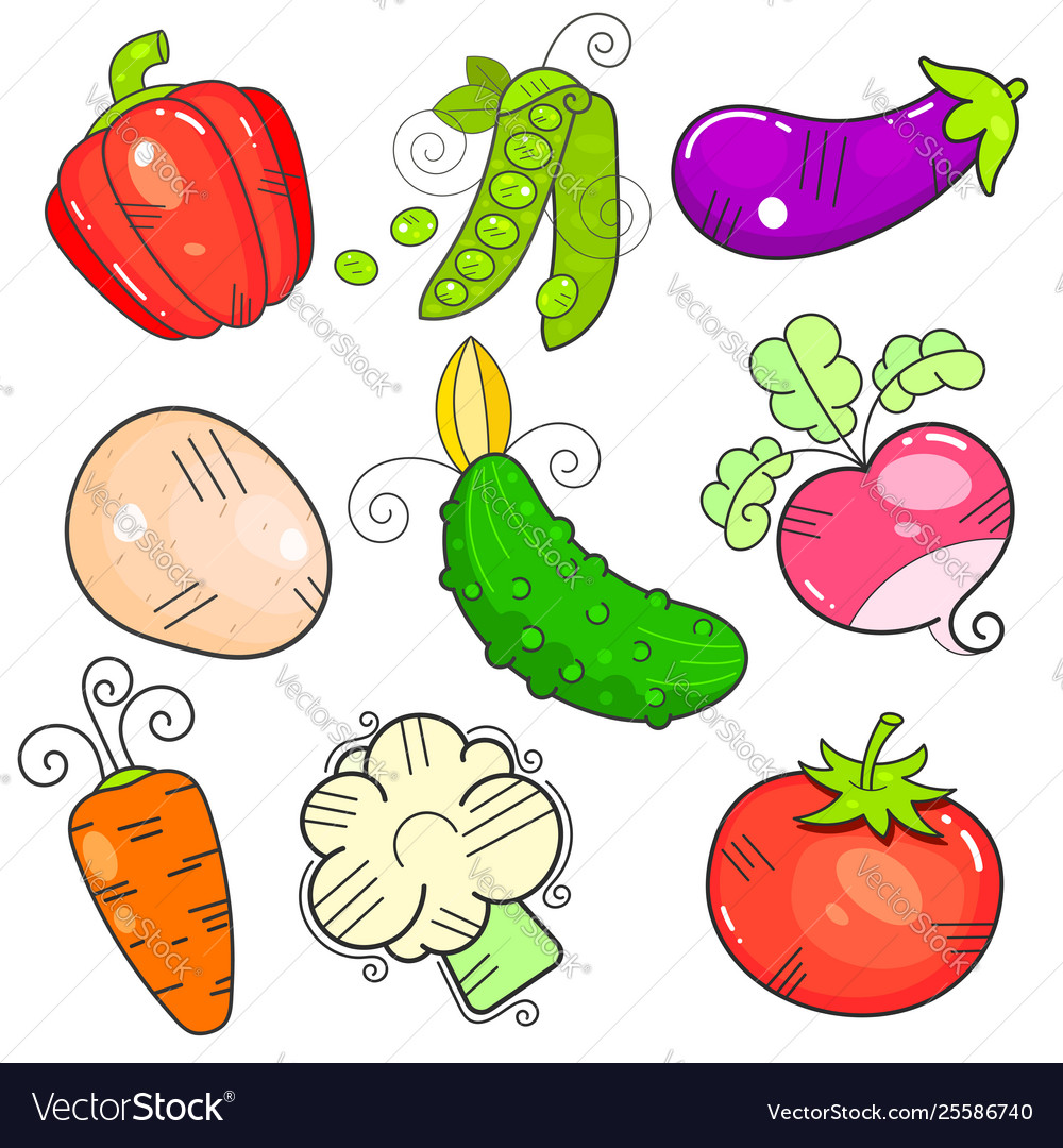 Art vegetables flatstyle property power