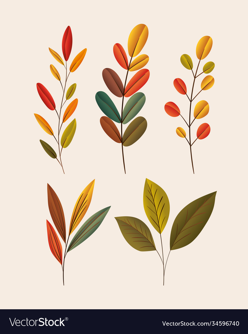 Autumn leaves set icons design