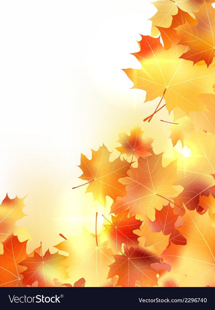 Background with maple autumn leaves plus eps10