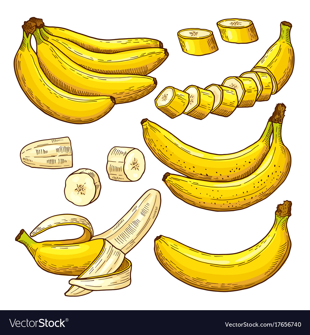 Set Of Colored Bananas Tropical Symbols Royalty Free Vector