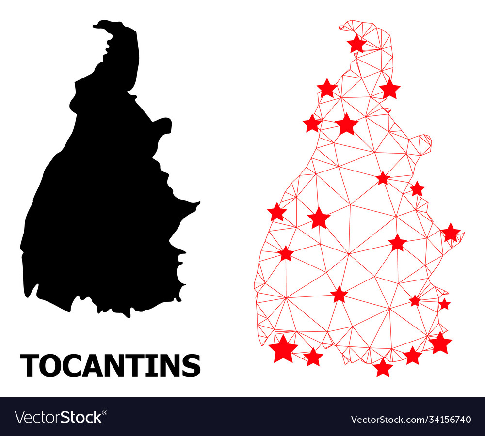 Wire frame polygonal map tocantins state vector image Wire frame polygonal map tocantins state
