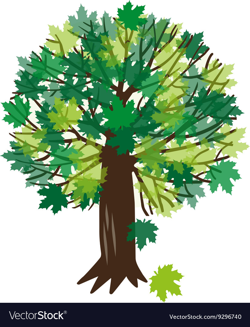 With a maple tree